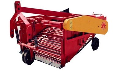 細分競爭 薯類收獲機市場新格局與薯類銷售渠道的協同進化