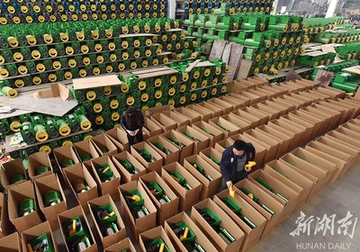 備戰雙十一，薯類產品銷售攻略